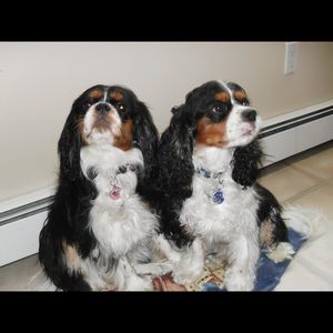 Meet your Posher, Linda